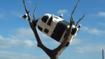 Continue reading #cowwatch at the Docklands&hellip;